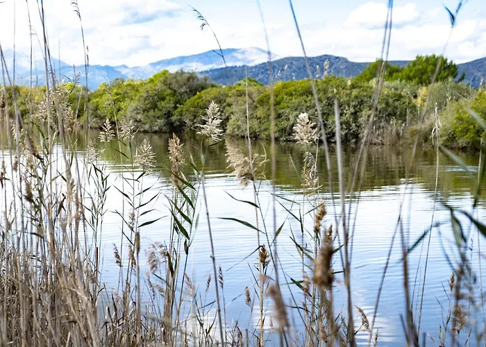 Eix Lagotel Holiday Resort